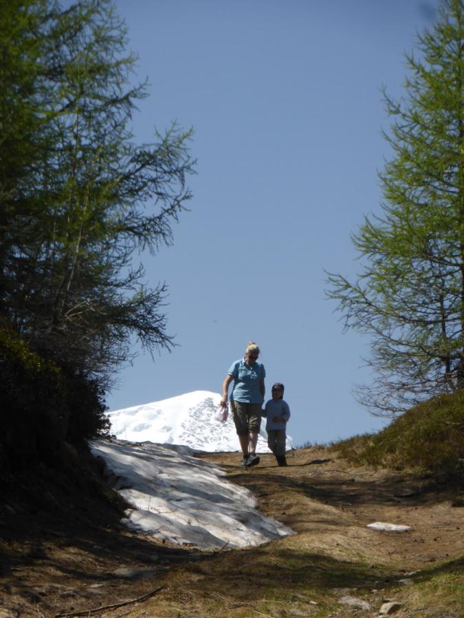 סאס פה Chalet Birkhahn מראה חיצוני תמונה