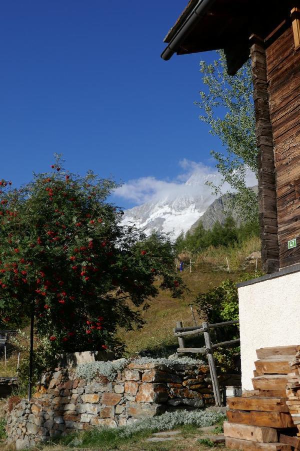 סאס פה Chalet Birkhahn מראה חיצוני תמונה