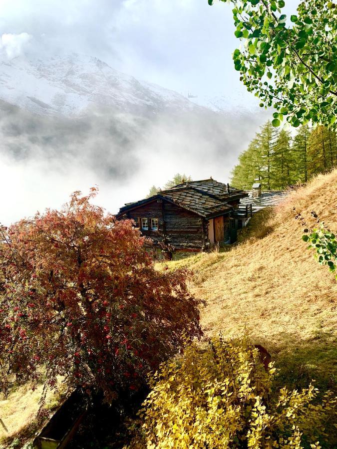סאס פה Chalet Birkhahn מראה חיצוני תמונה