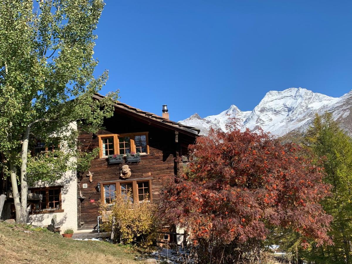 סאס פה Chalet Birkhahn מראה חיצוני תמונה